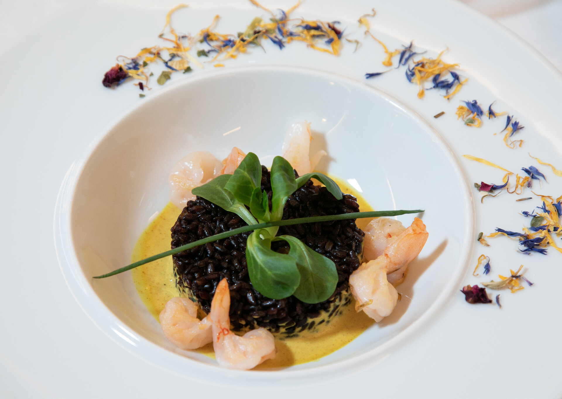 Content Dam Org 12 Images Full Rights Gusto Conca Verde 3