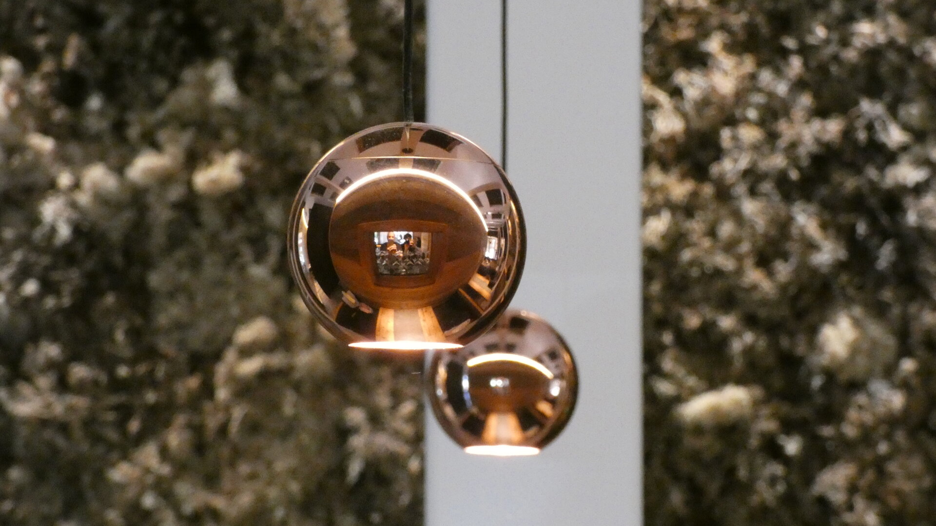 Content Dam Org 12 Images Full Rights Gusto White Moss P1010286