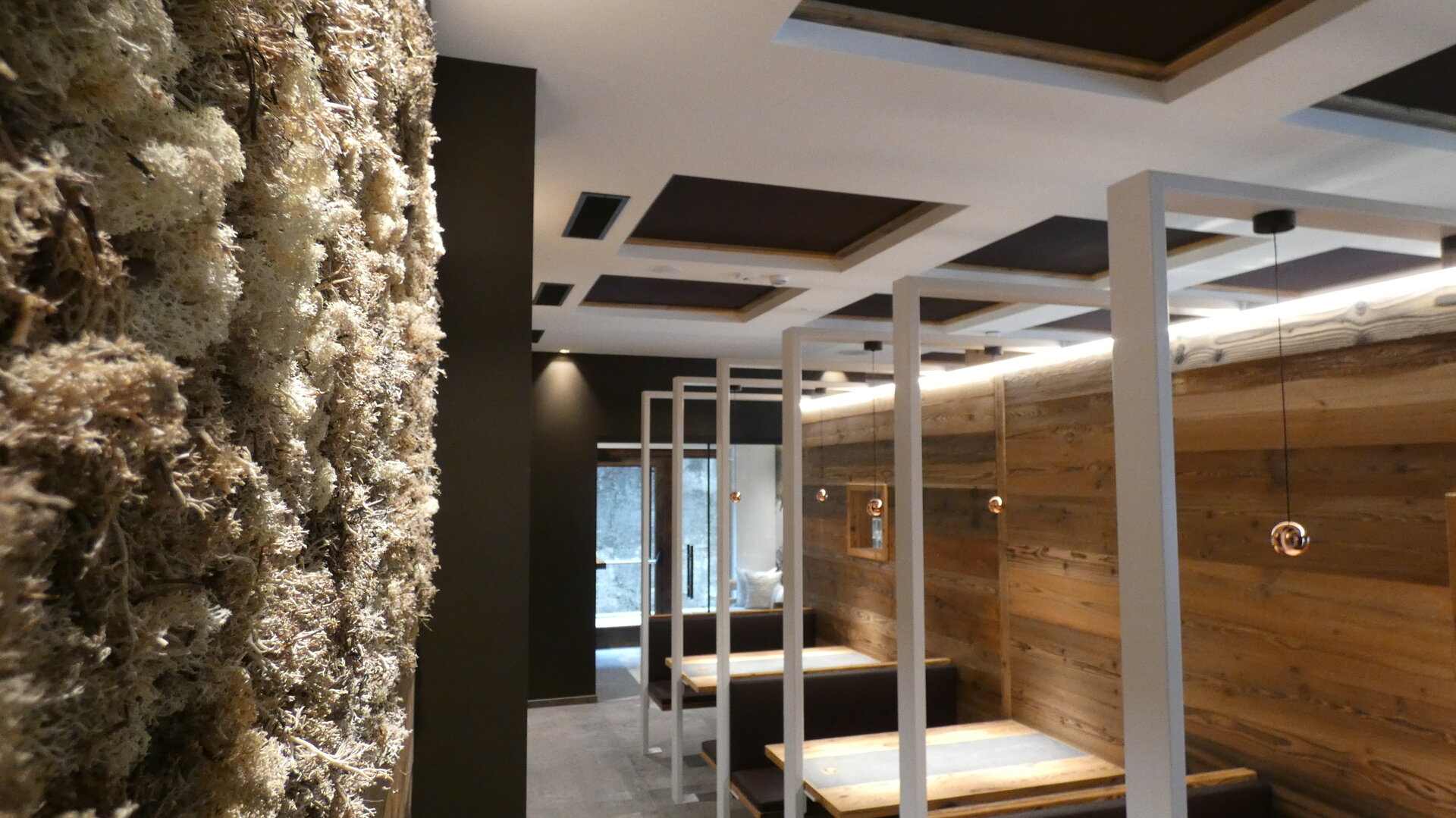 Content Dam Org 12 Images Full Rights Gusto White Moss P1010368