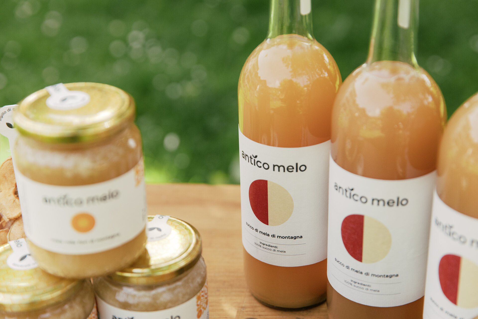 Content Dam Org 12 Images Full Rights Shopping Azienda Agricola Antico Melo Robertodepellegrin 280525 Web 67