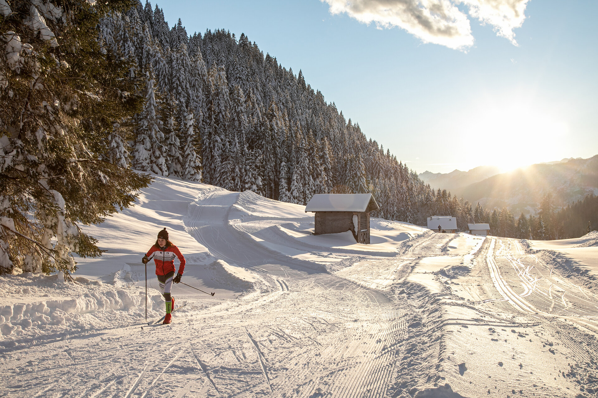 Content Dam Org 0 Images Full Rights Ski Area Fondo 43814