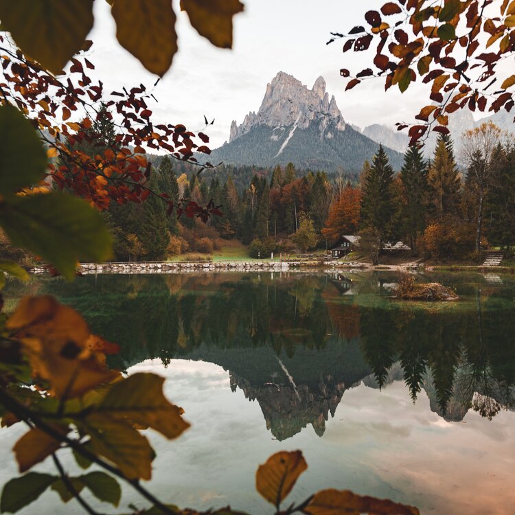 Centro Visitatori Villa Welsperg