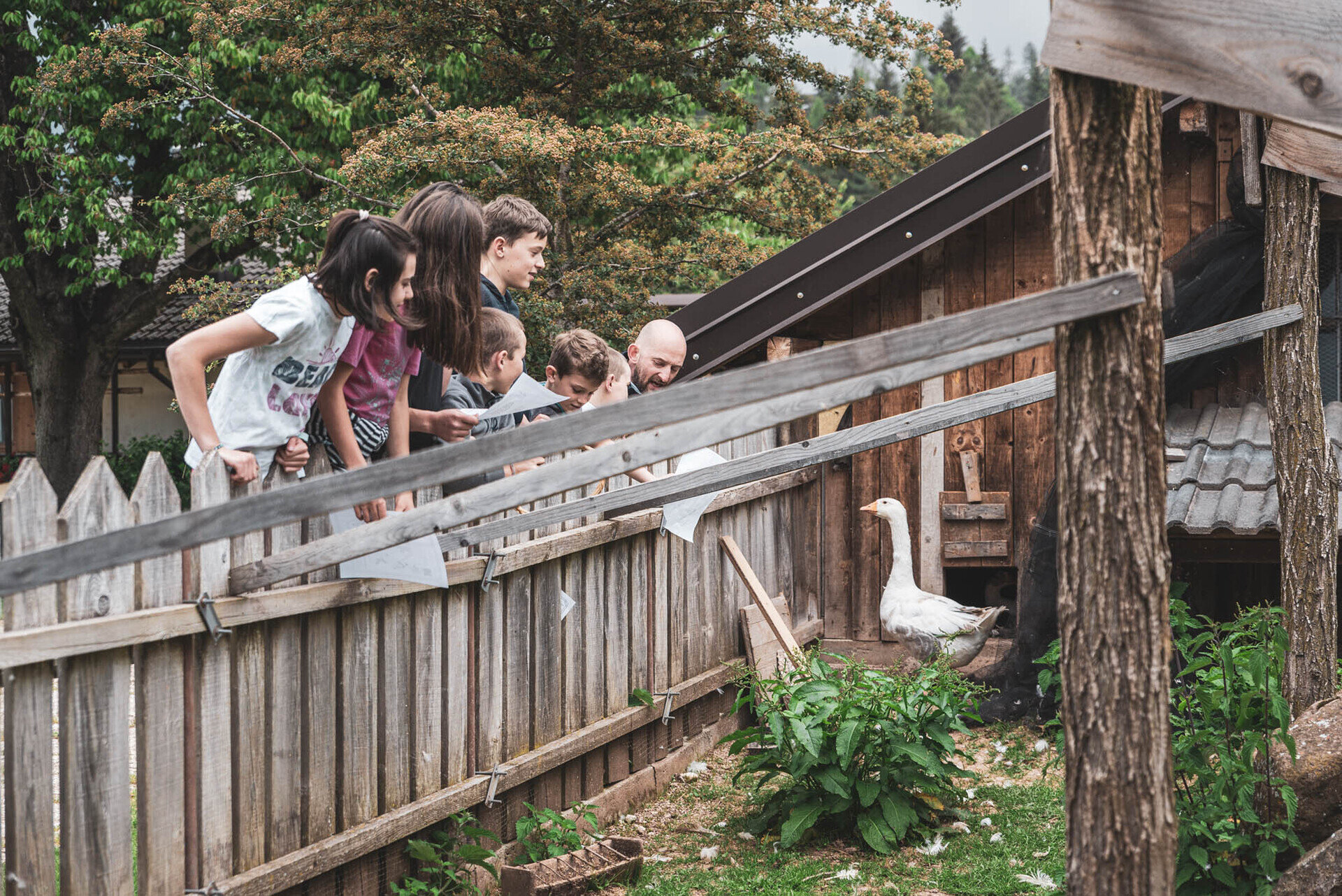 Content Dam Org 12 Images Full Rights Famiglia Agritur Dalaip 417