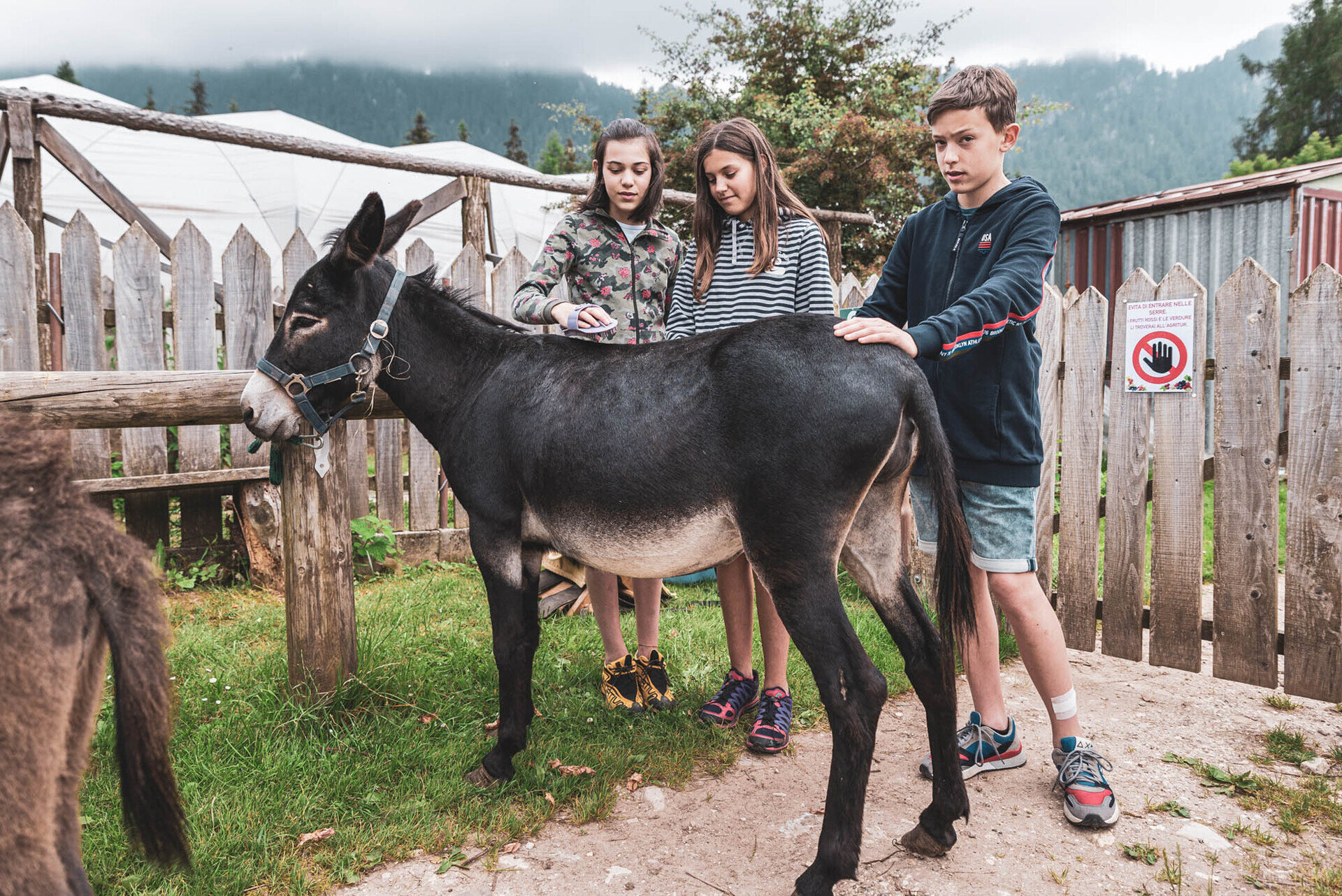 Content Dam Org 12 Images Full Rights Famiglia Agritur Dalaip 454