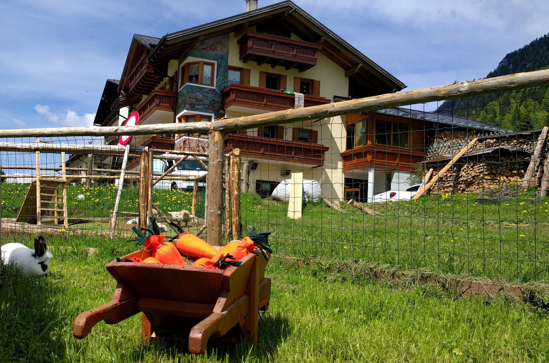 Fattorie didattiche - Dall'uovo alla gallina all’Agritur Broch