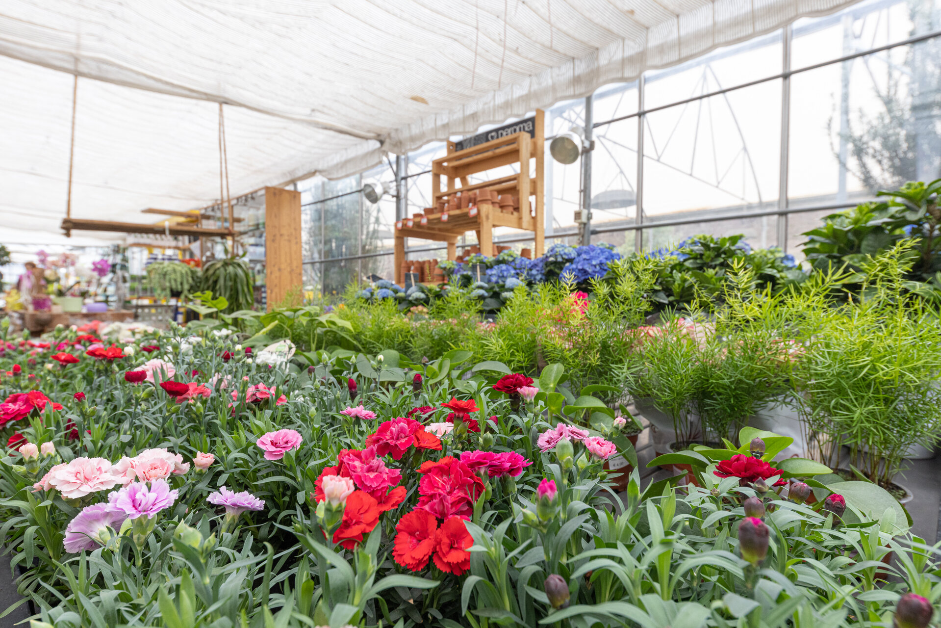 Fioreria Verde Primiero