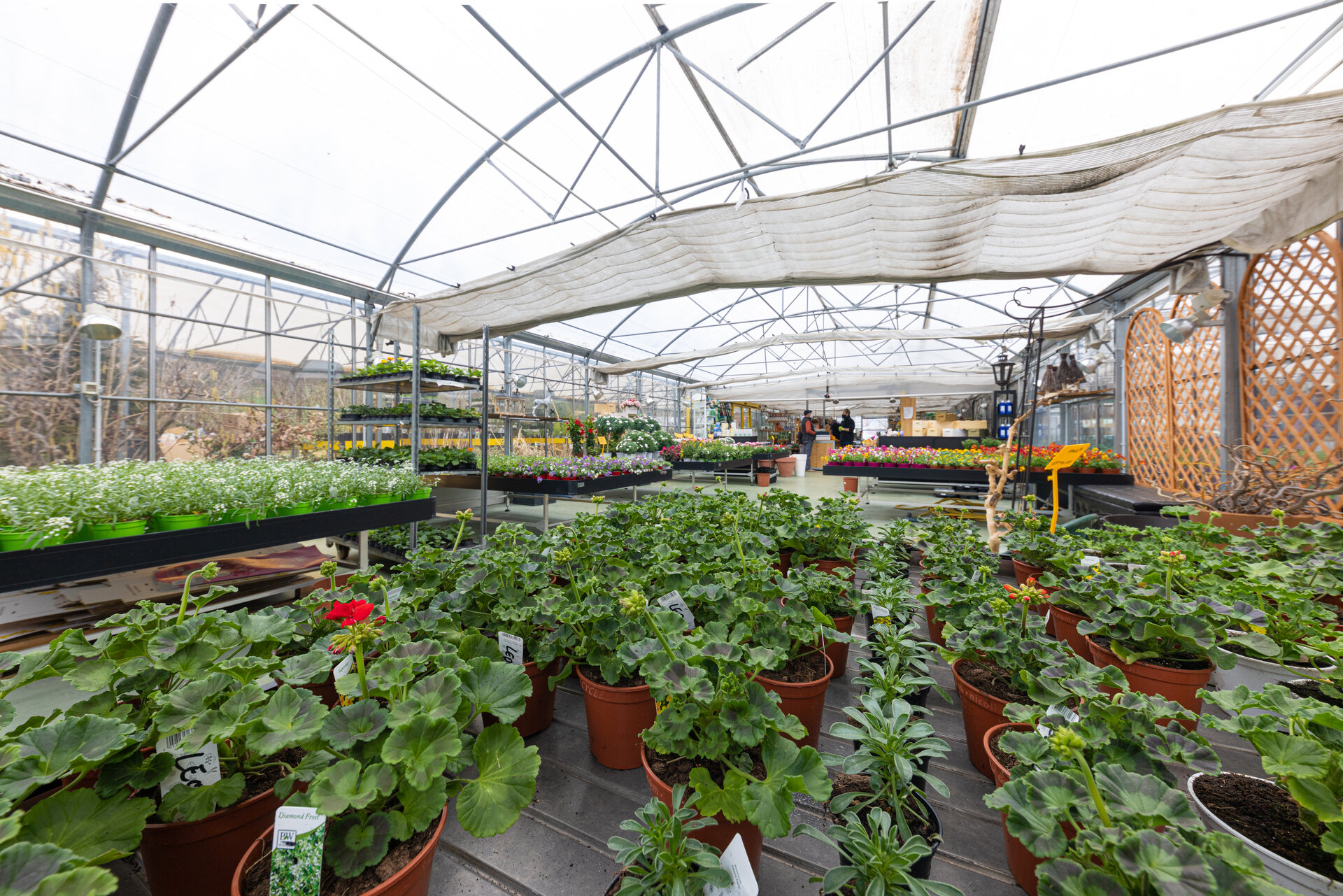 Content Dam Org 12 Images Full Rights Shopping Verde Primiero Verde Primiero 4