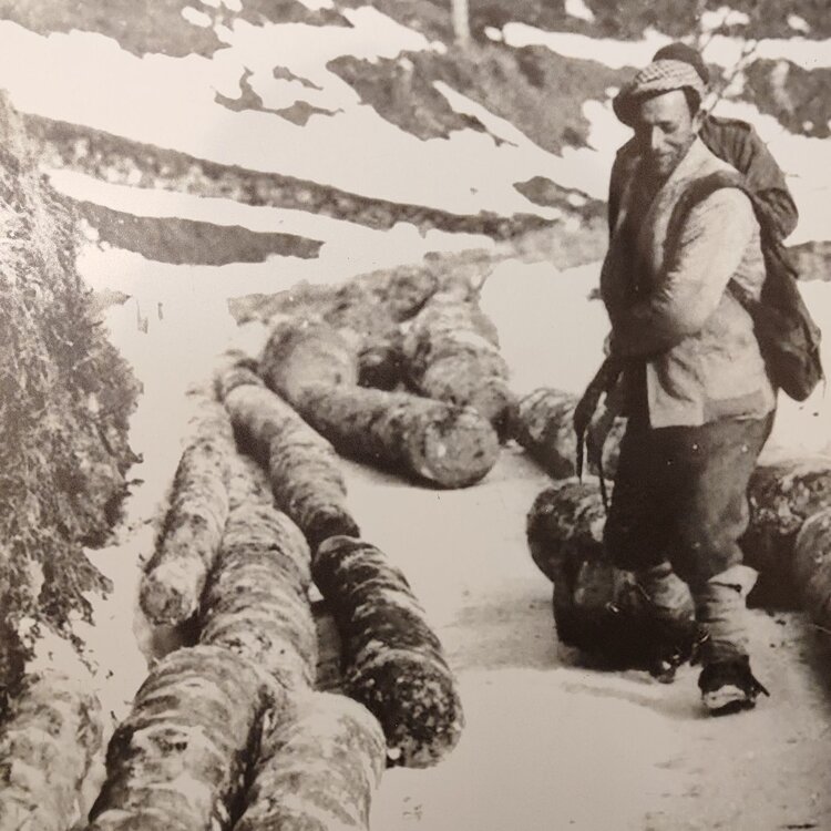 Mostra fotografica “Lavori invernali”
