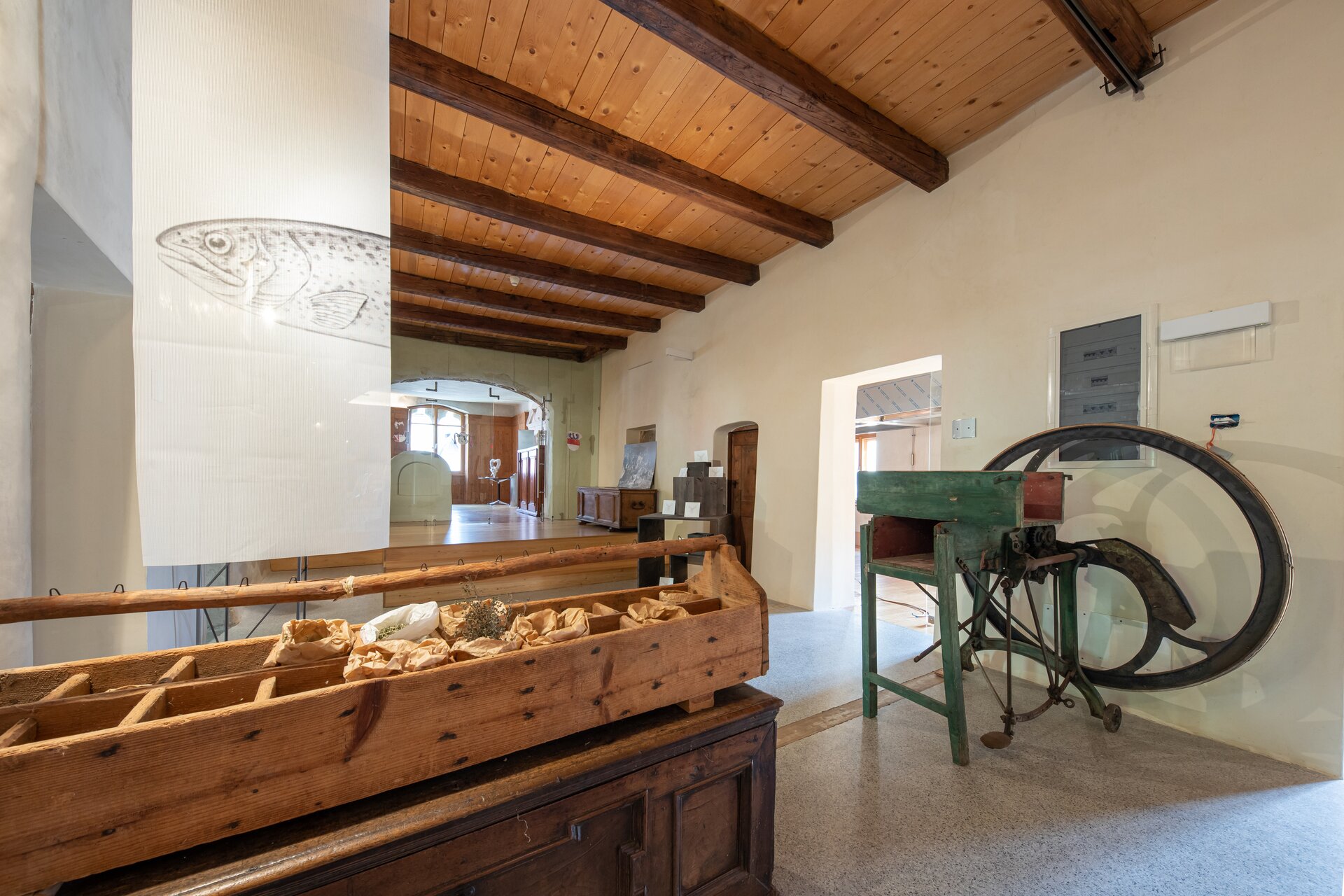 Palazzo Scopoli - Casa del Cibo