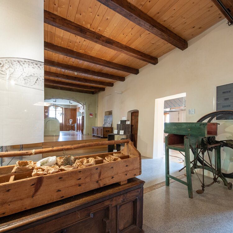 Palazzo Scopoli - Casa del Cibo