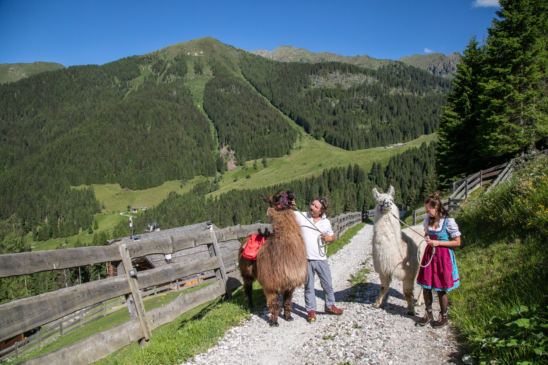 Trekking mit Lamas