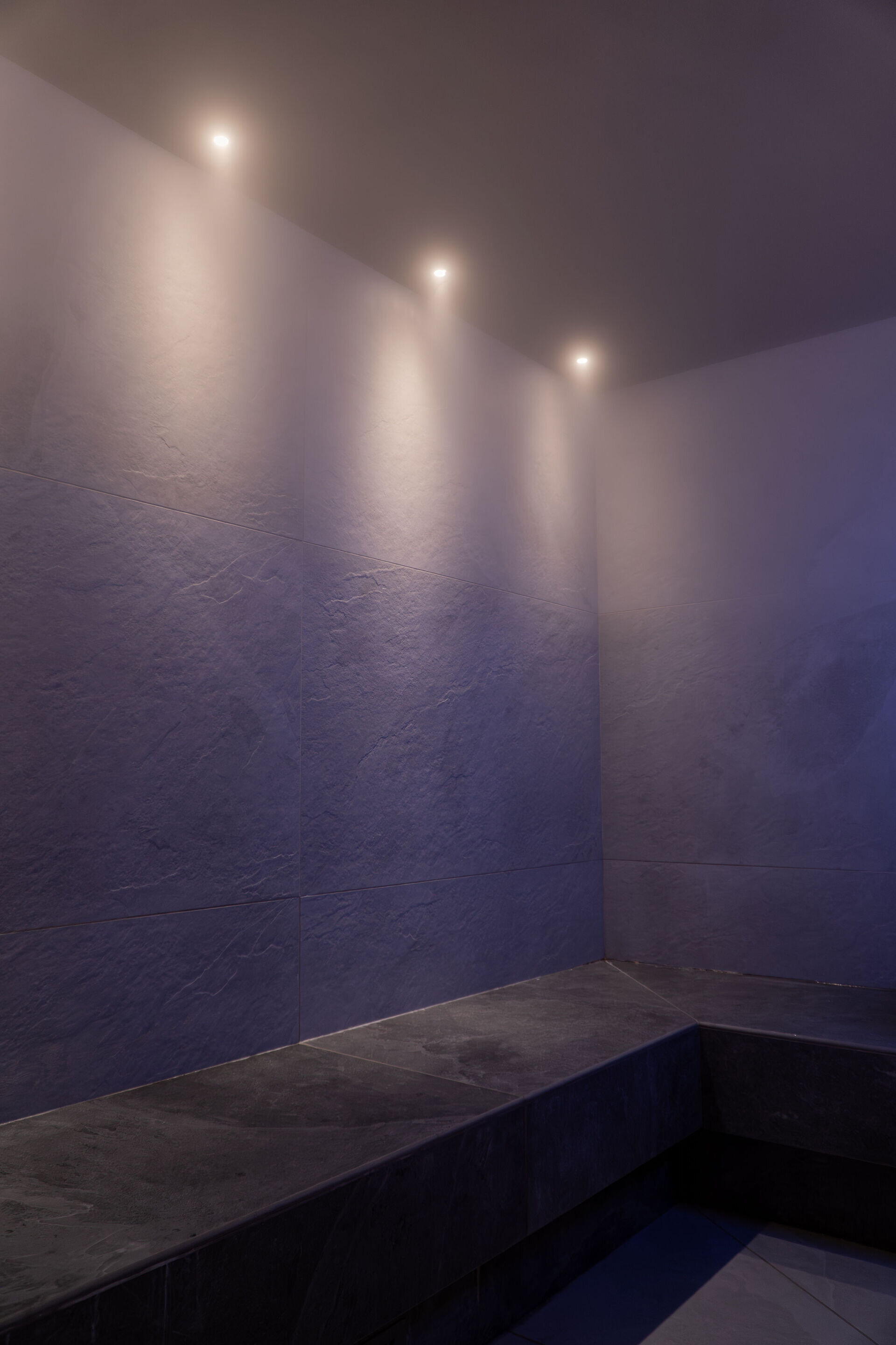 Content Dam Org 12 Images Full Rights Wellness Piscina Di Primiero Dsc09046 2