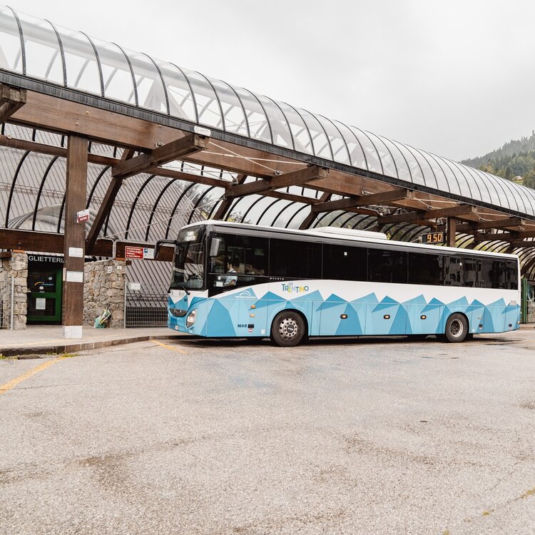 Mobilita Autobus Ph Brandnamic Alpine Pearls