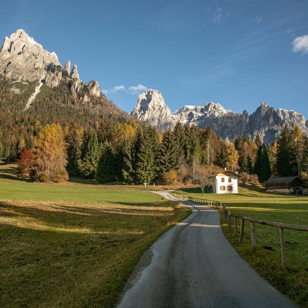 Autunno In Val Canali Ph Dolomites Web