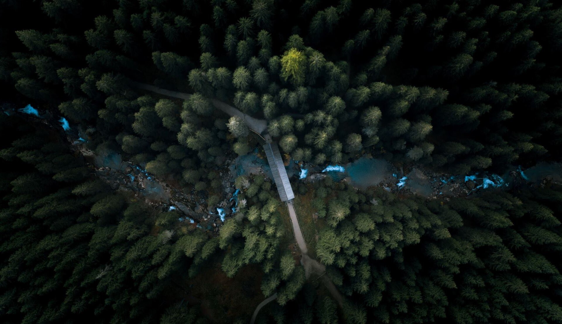 Una foto fatta con il drone mostra un ponte immerso nel bosco di abeti