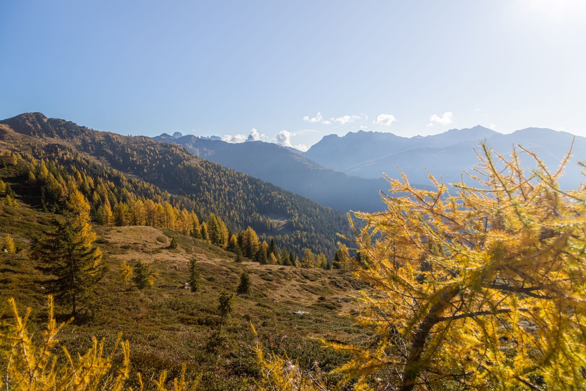 Paesaggio della valle del Primiero autunnale