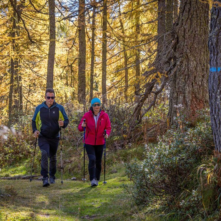 Coppia fa trekking a San Martino di Castrozza tra bochi rigogliosi