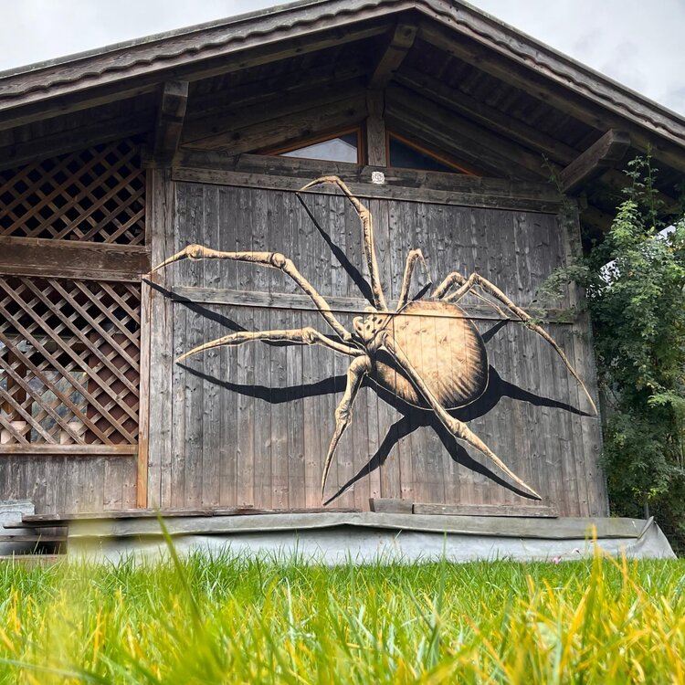 Opera di street barch in Primiero: ragno