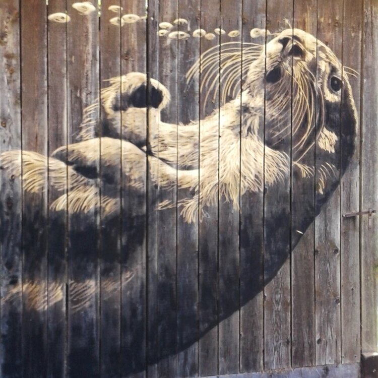 Opera di street barch in Primiero: lontra