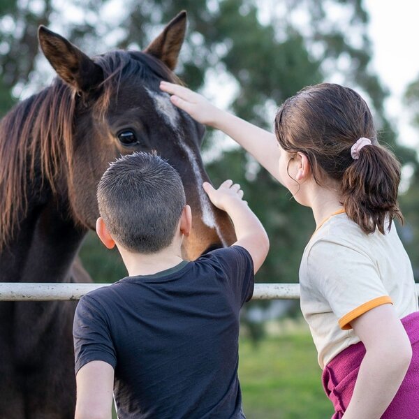 Bambini che accarezzano un cavallo