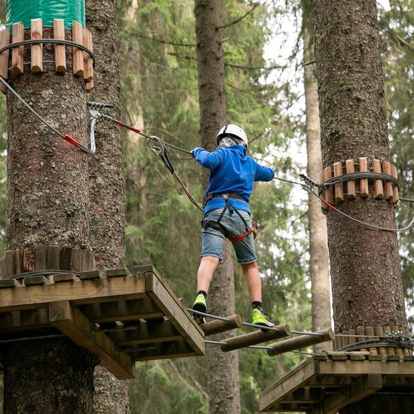 Nel forest park val noana un bambino attraversa un ponte