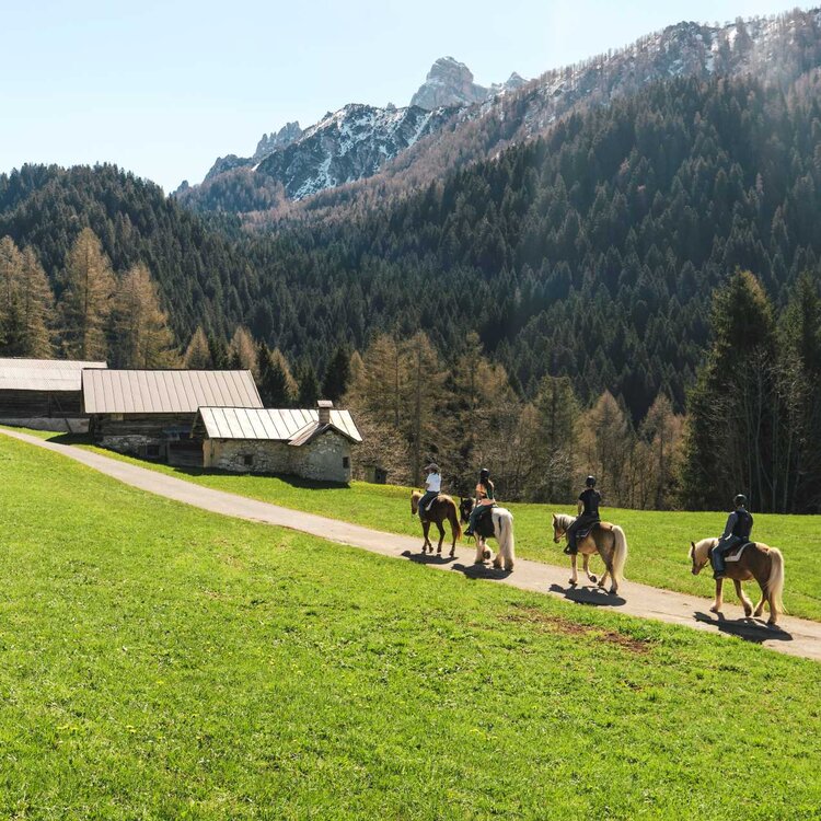 Tre ragazzi fanno equitazione tra le dolomiti