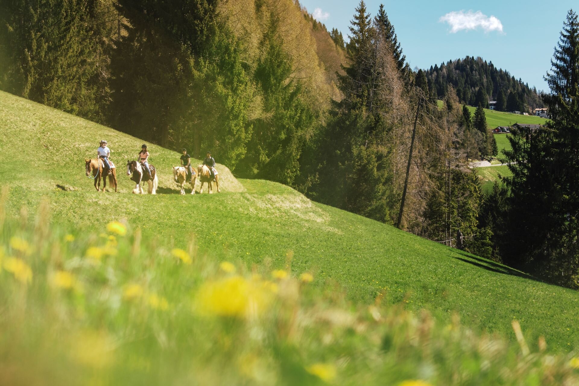 Equitazione in val primiero