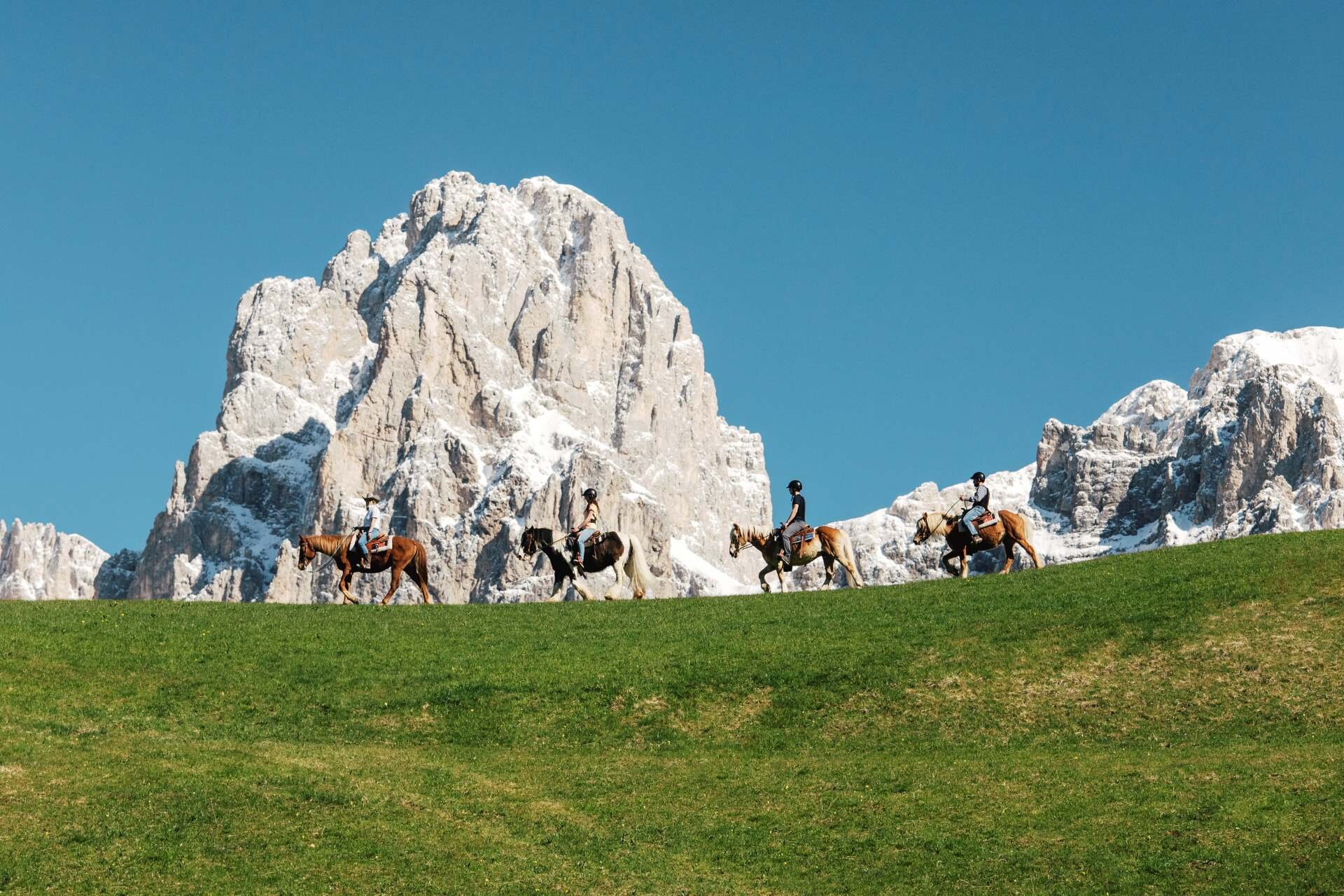 Una fila di cavalli si avvicina alle Pale di San Martino