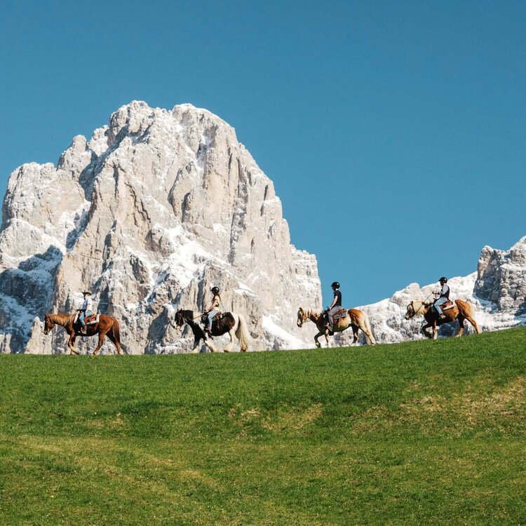 Una fila di cavalli si avvicina alle Pale di San Martino