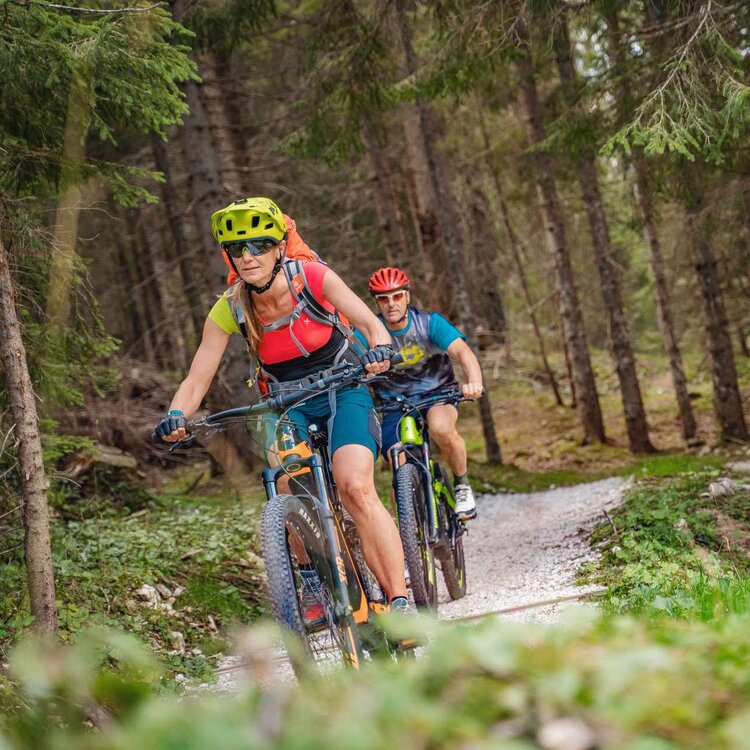 Percorso bike in primiero tra i boschi