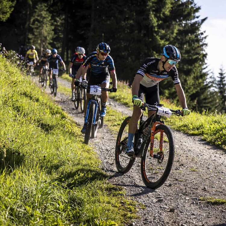 Gruppo di bikers sui sentieri di San Martino di Castrozza