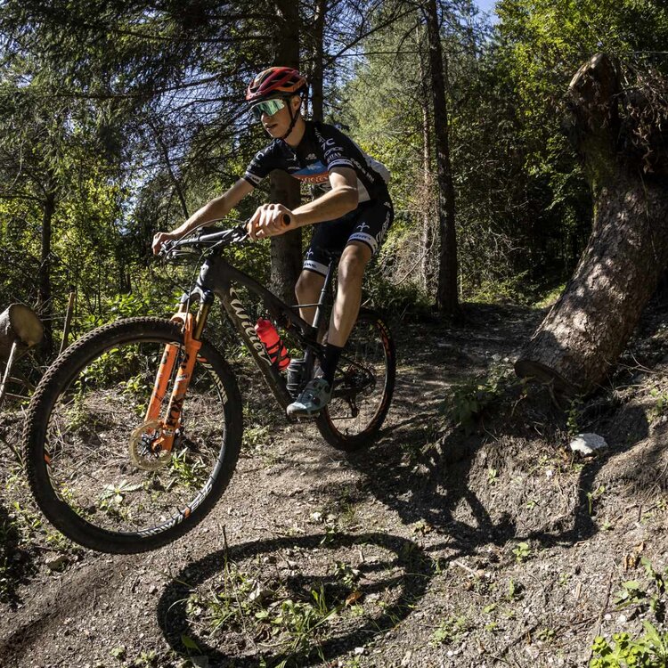 Bikers tra i boschi delle dolomiti