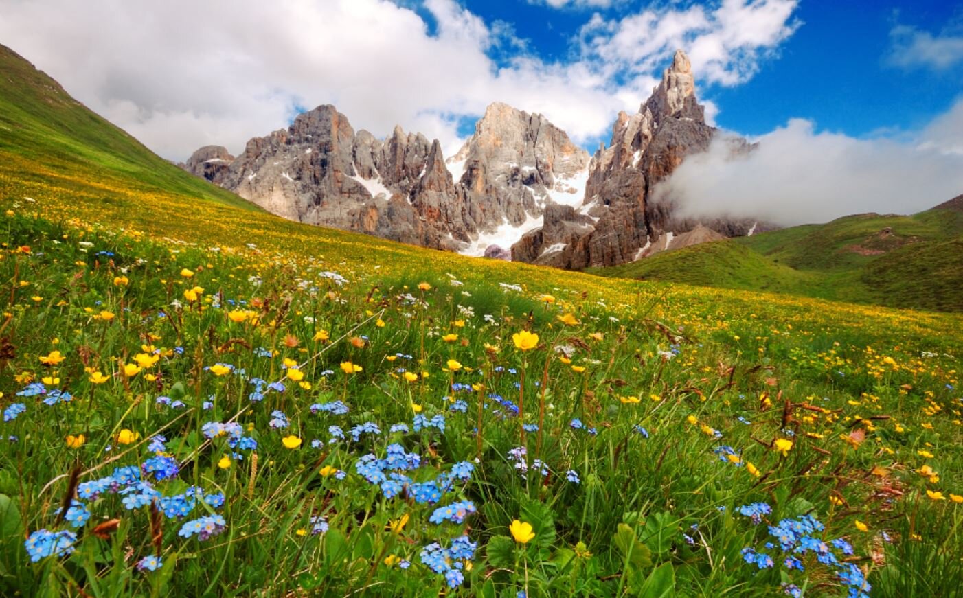 Natura salvaggia del Passo Rolle in Trentino