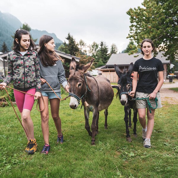 Agritur Dalaip Fattoria Didattica Ph Roberto De Pellegrin