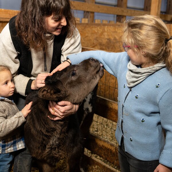 Agritur Broch Ph Dolomitesweb
