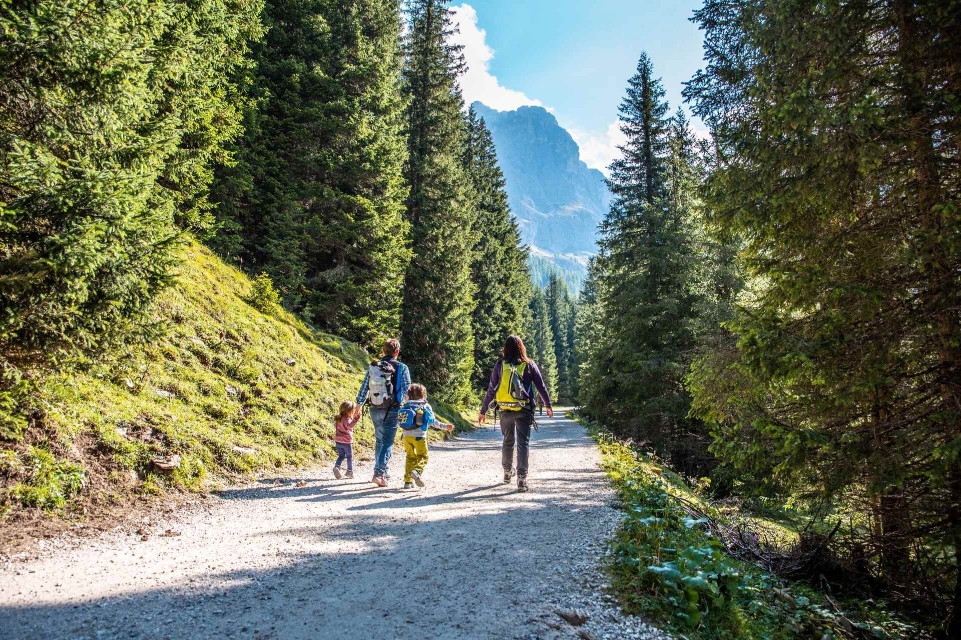 Sentiero in val venegia per baby trekking in trentino
