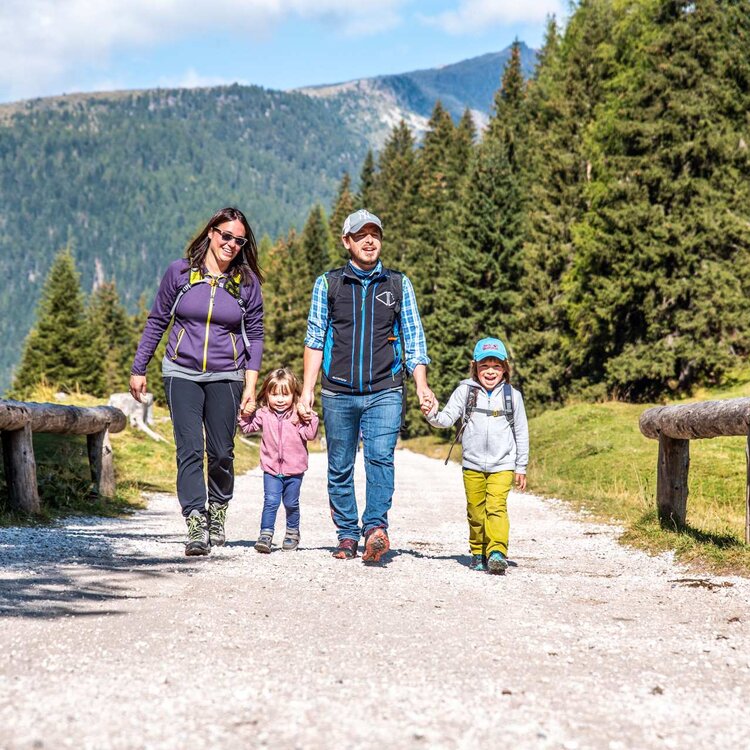 Passeggiata semplice in val venegia con bambini