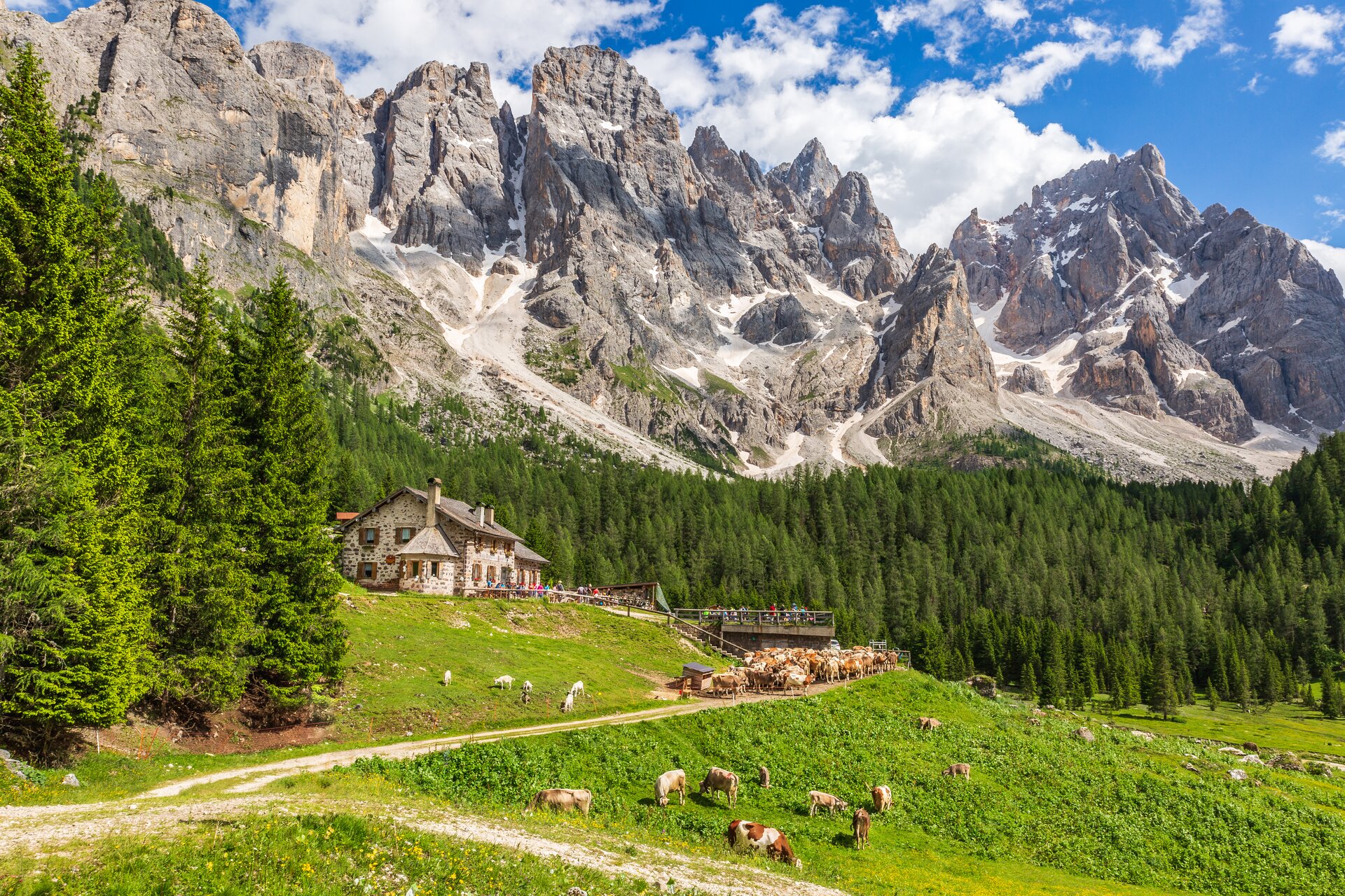 Malga Venegiota Ph Fototeca Trentino Sviluppo