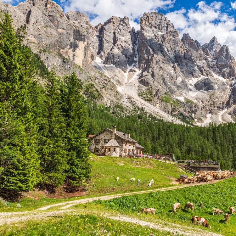 Malga Venegiota Ph Fototeca Trentino Sviluppo