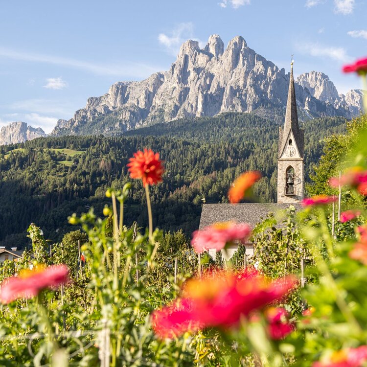 Paesaggio delle Dolomiti del Primiero