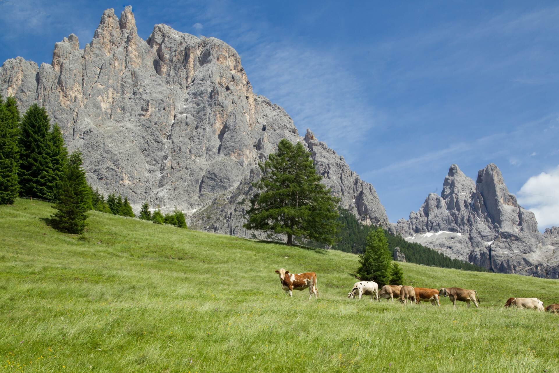 Vallata a San Martino di Castrozza