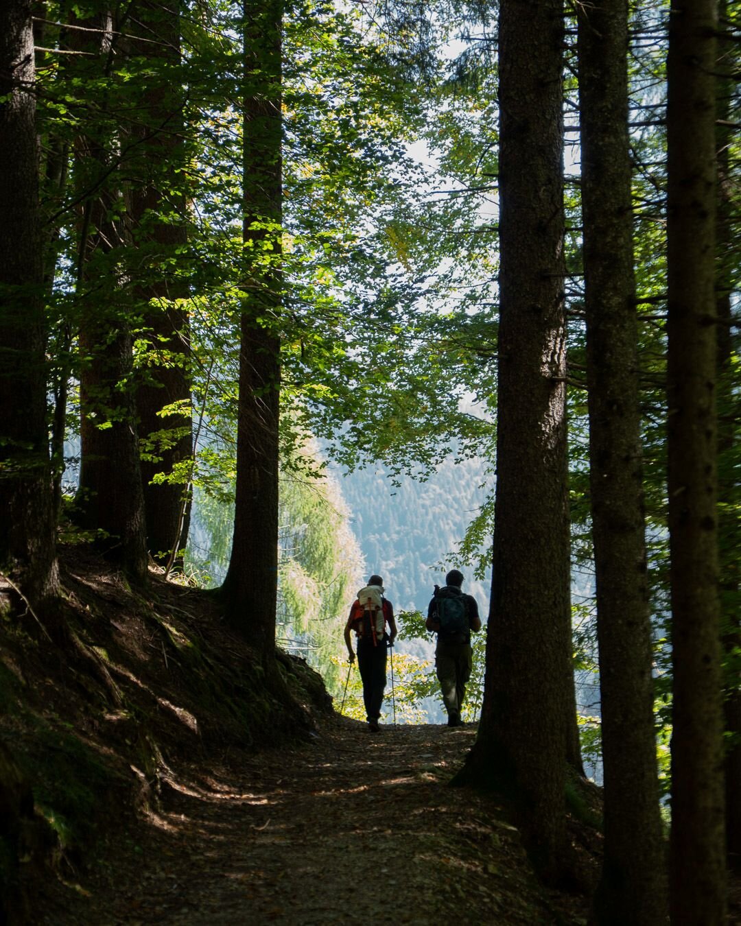 Passeggiate semplici nel Paesaggio del Primiero Slow Tour
