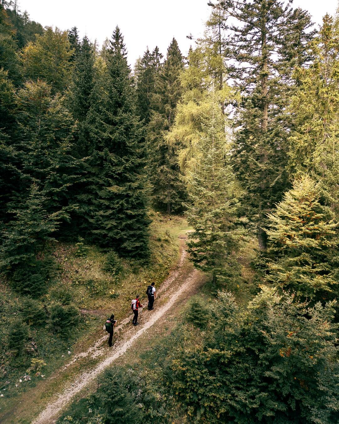 Paesaggio del Primiero Slow Tour
