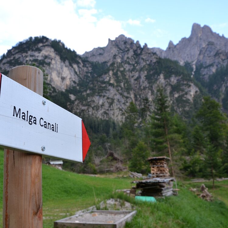 Albe In Malga 4 Malga Canali Ph Strada Dei Formaggi
