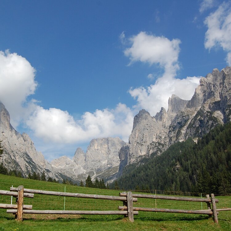 Albe In Malga 5 Malga Canali Ph Strada Dei Formaggi