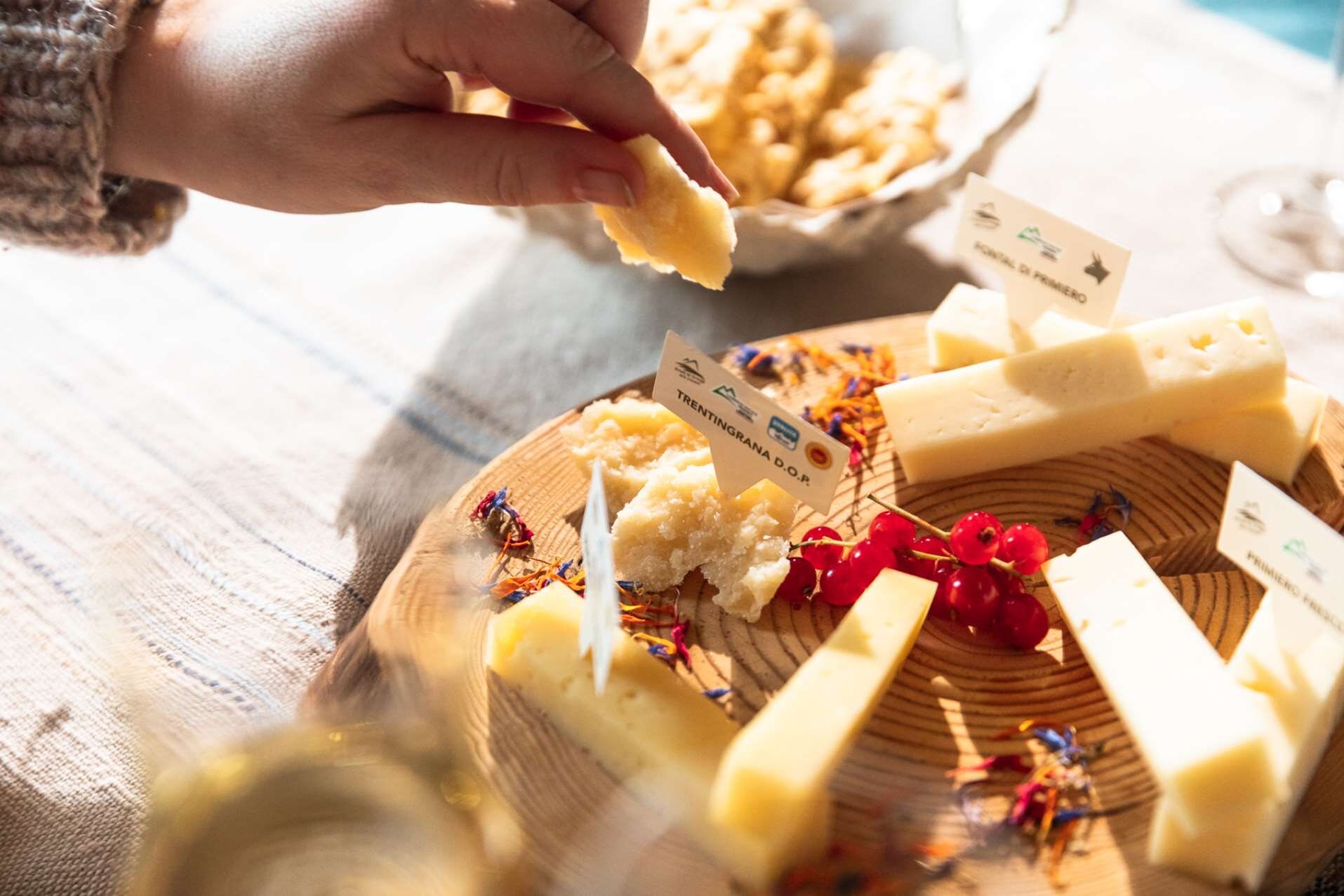 Degustazione con formaggi tipici di malga