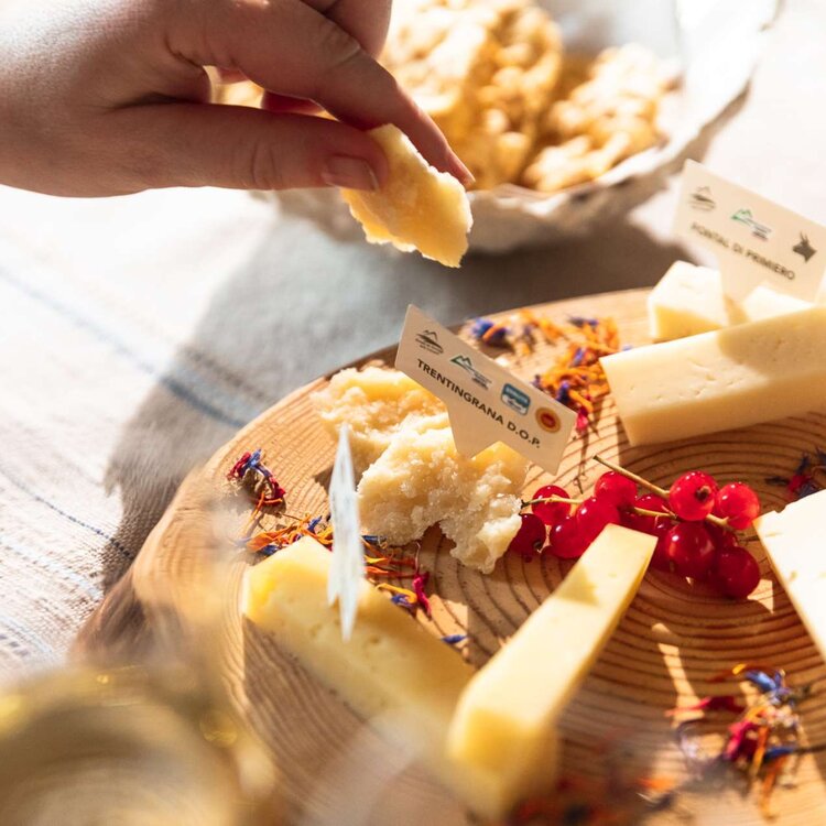 Degustazione con formaggi tipici di malga