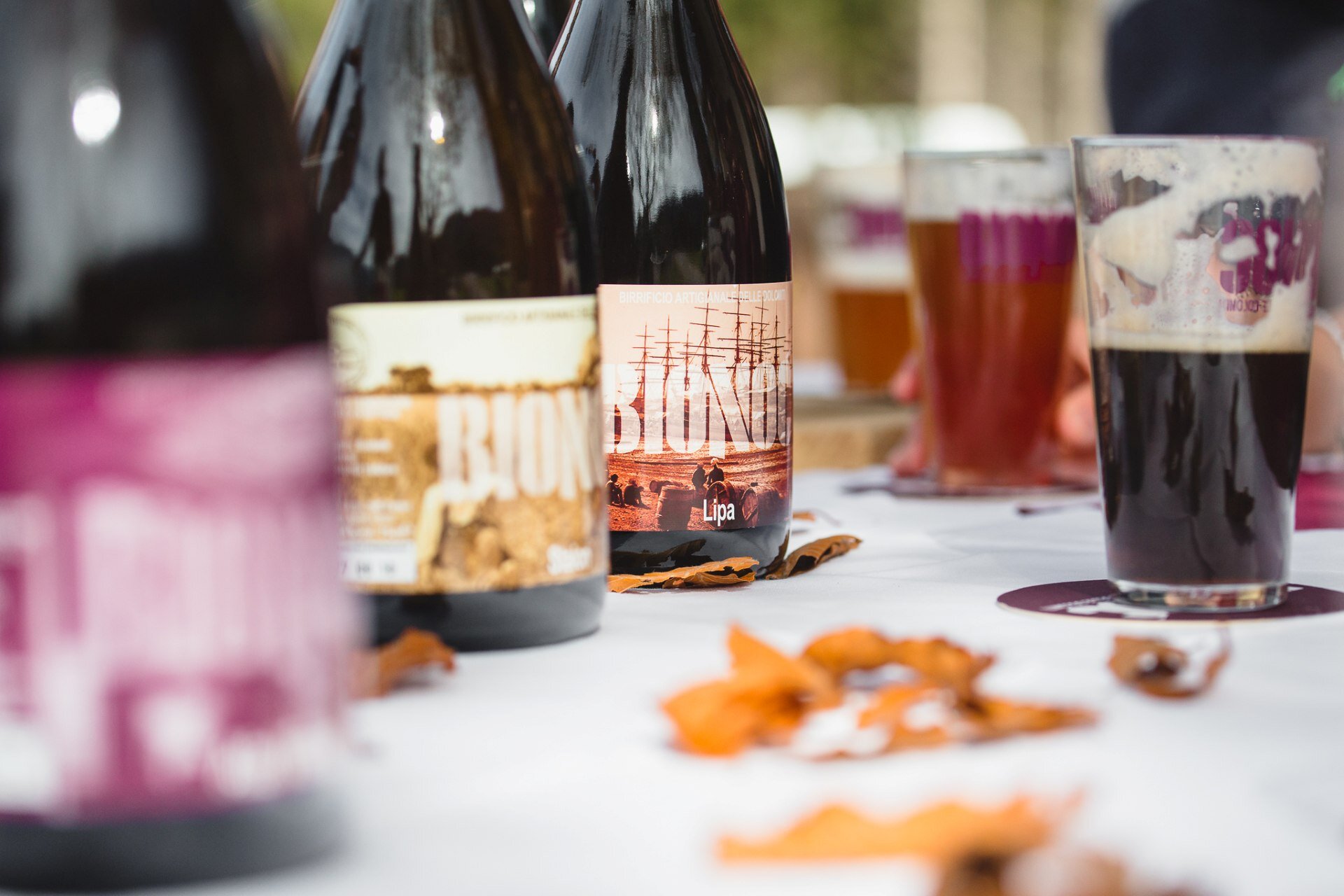 Birra artigianale bionoc