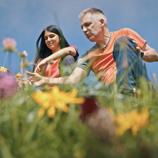 Habitat Aura E Sandro 1