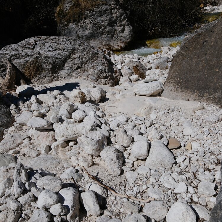 Habitat Torrente Canali 3